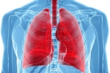 Warning… This CDC advice can damage your lungs.